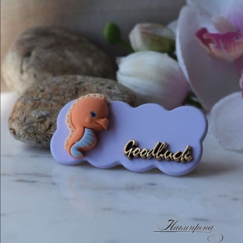 детска шнола с Морско конче